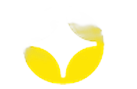 ZizoBet casino logo — ranked #1
